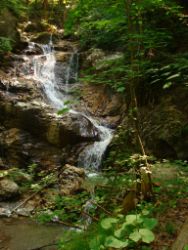 2013-07-20_Regina-F-Rau_Kochel-Rabenkopf (097).JPG